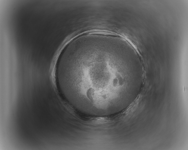 X0000102500151200808081356