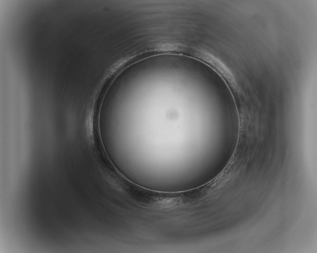 X0000102500155200808081356