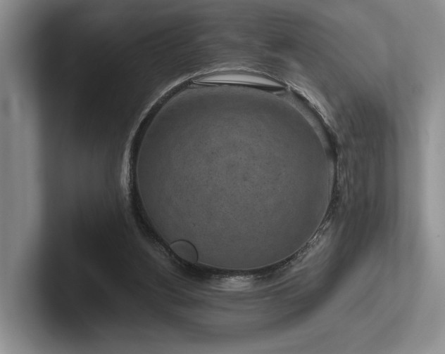 X0000102500156200808081356