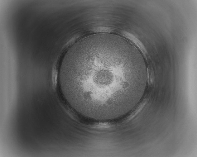 X0000102500157200808081356