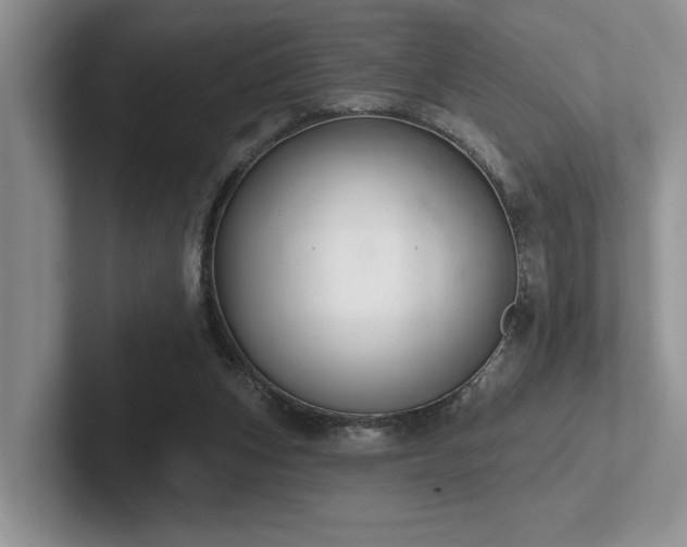 X0000102500159200808081356