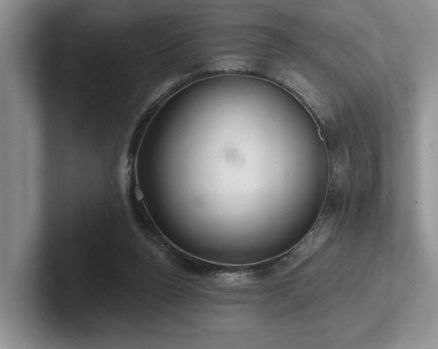 X0000102500160200808081356