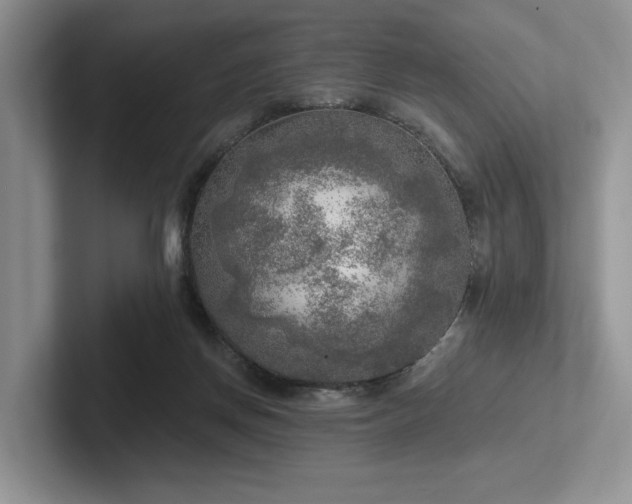 X0000102500166200808081356