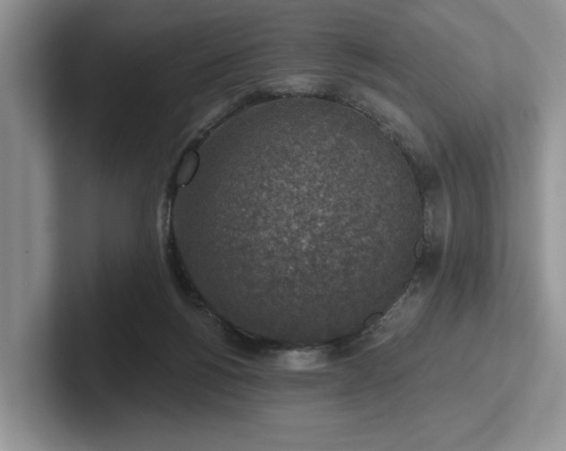 X0000102500168200808081356