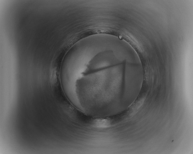 X0000102500169200808081356