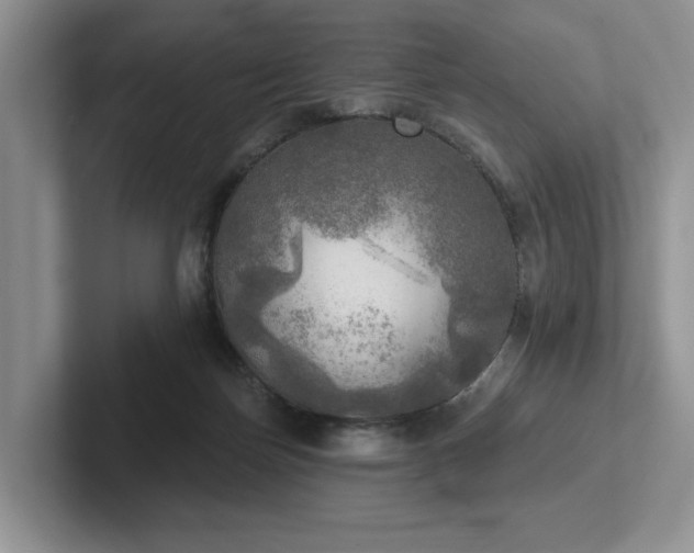 X0000102500171200808081356