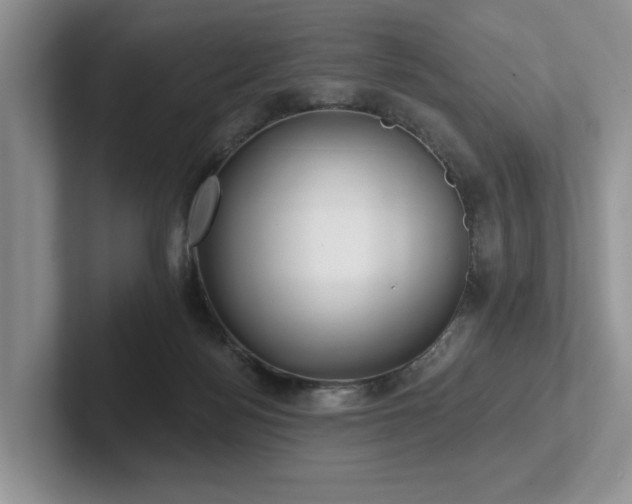 X0000102500172200808081356