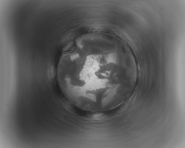 X0000102500173200808081356