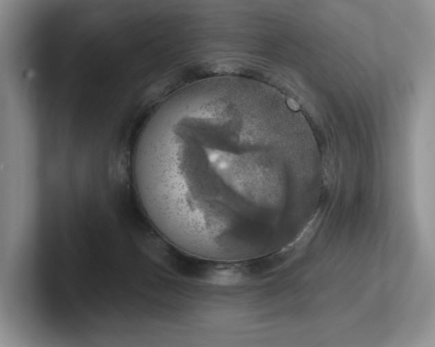 X0000102500175200808081356