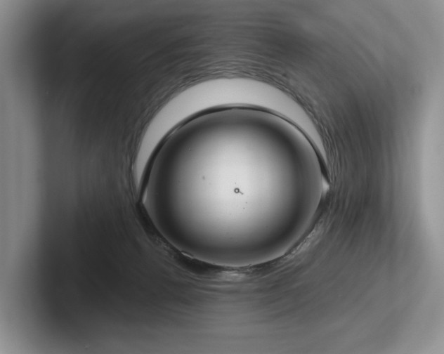 X0000102500176200808081356