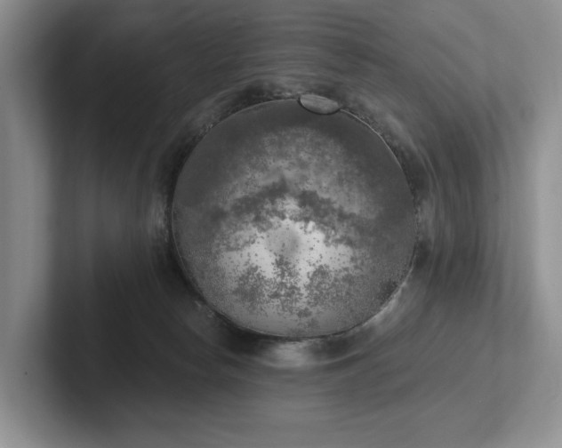 X0000102500178200808081356