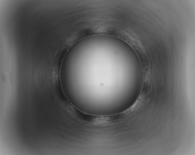 X0000102500179200808081356