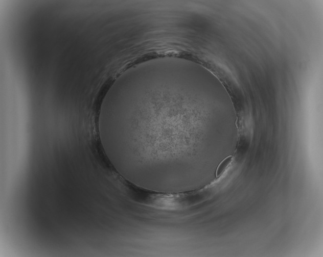 X0000102500182200808081356