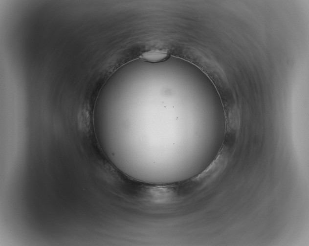 X0000102500183200808081356