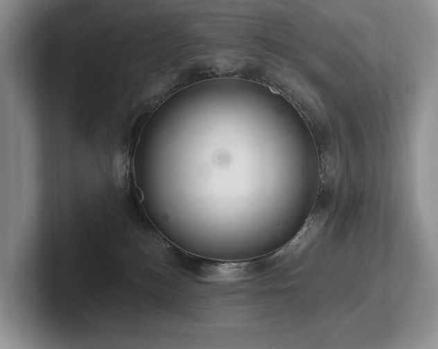 X0000102500184200808081356