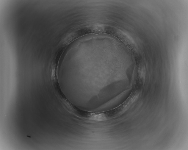 X0000102500185200808081356