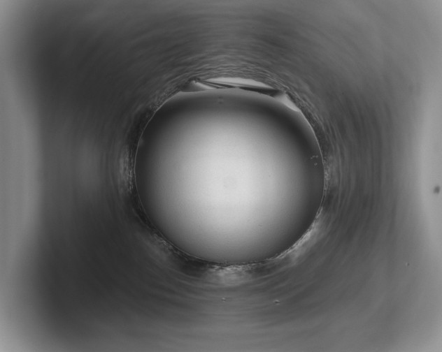 X0000102500186200808081356