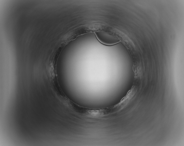 X0000102500187200808081356