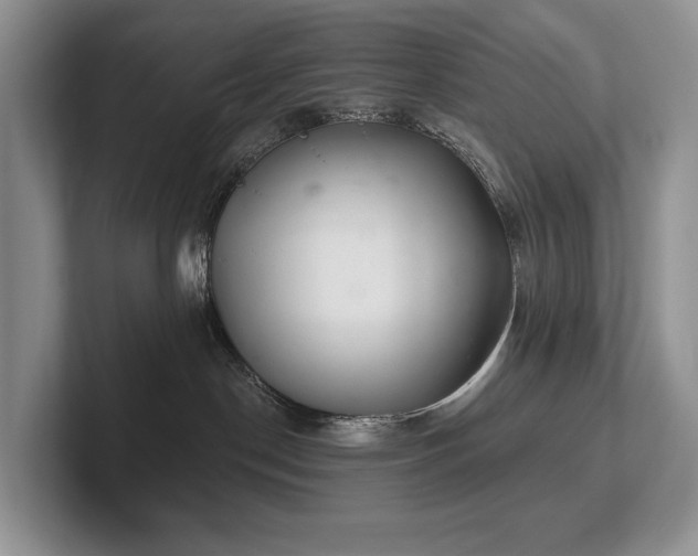 X0000102500190200808081356