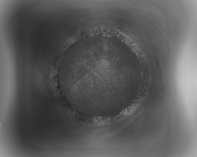 X0000102500192200808081356