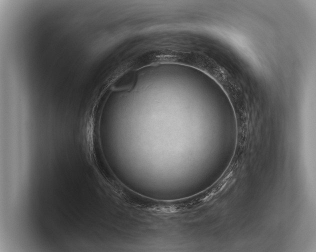 X0000102500194200808081356