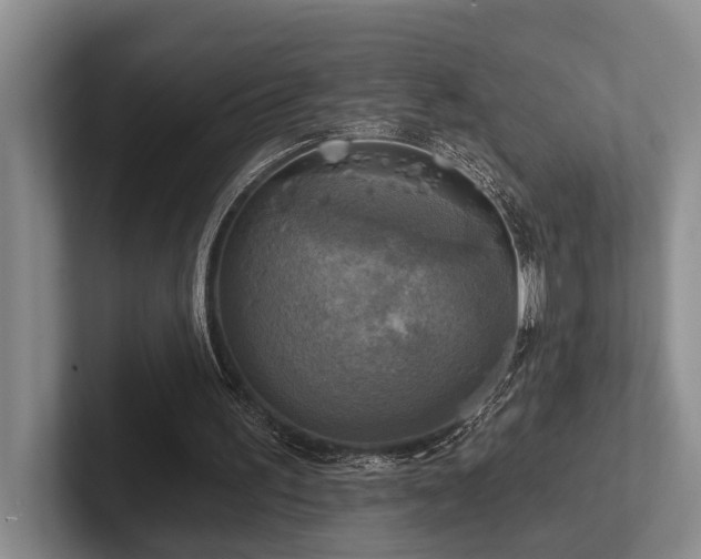 X0000102500195200808081356