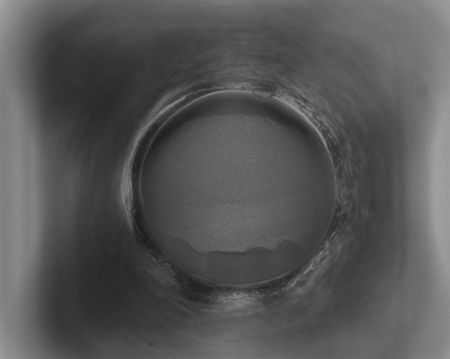 X0000102500198200808081356