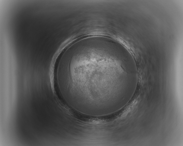 X0000102500199200808081356