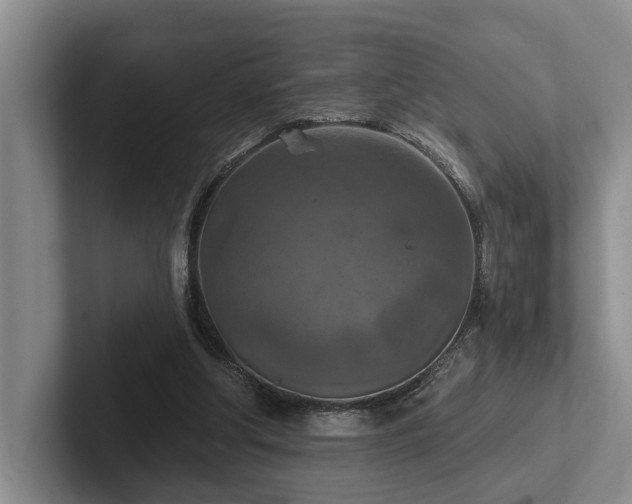 X0000102500202200808081356