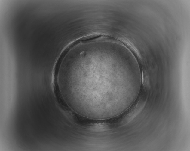 X0000102500204200808081356