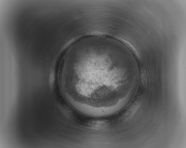 X0000102500208200808081356