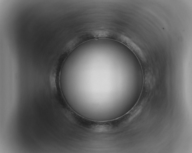 X0000102500209200808081356