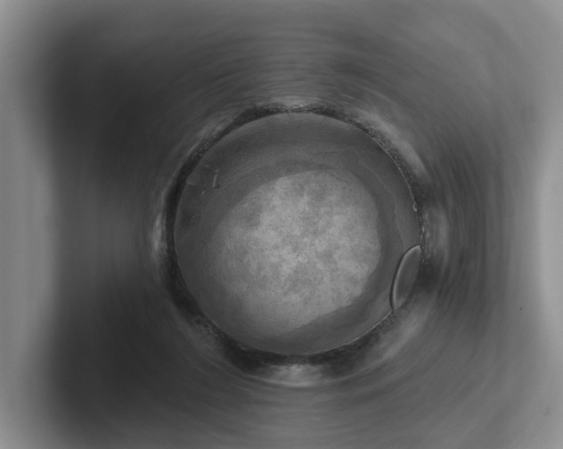 X0000102500212200808081355