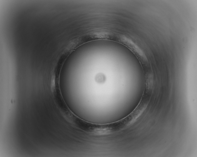 X0000102500213200808081355