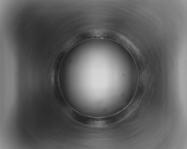 X0000102500217200808081355