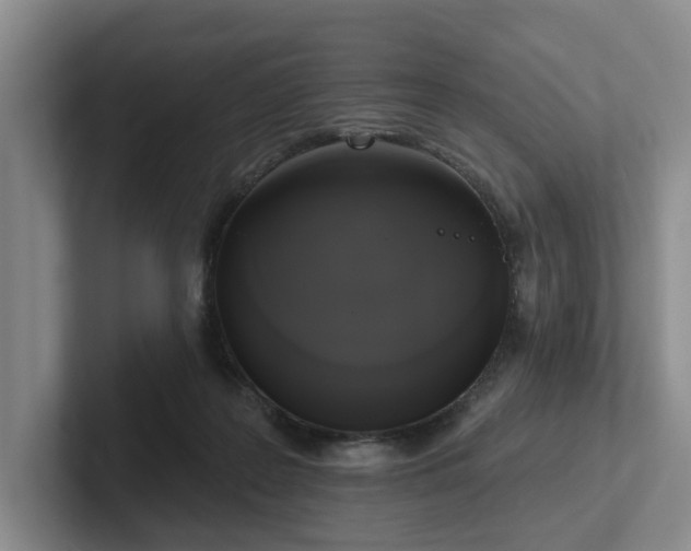 X0000102500219200808081355