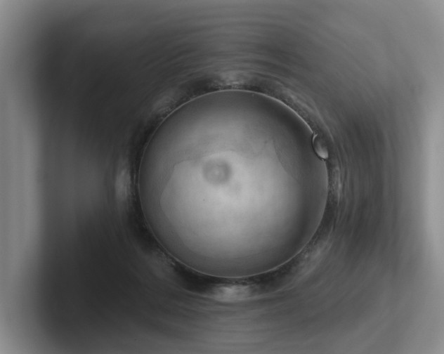 X0000102500220200808081355