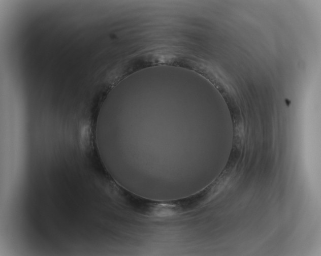 X0000102500222200808081355