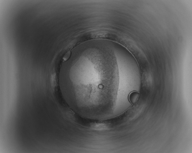 X0000102500224200808081355