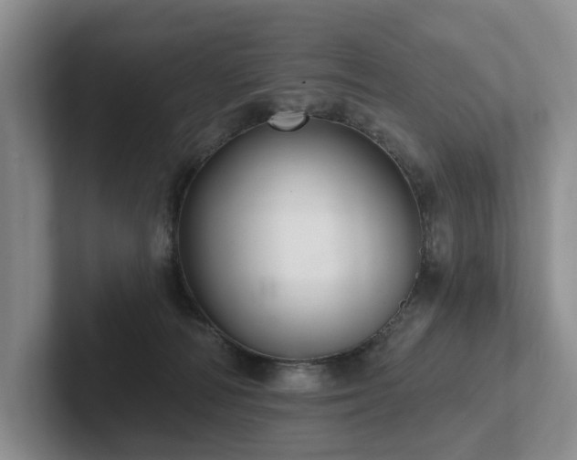 X0000102500226200808081355