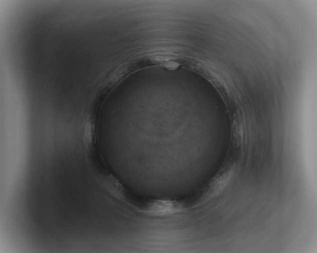 X0000102500227200808081355