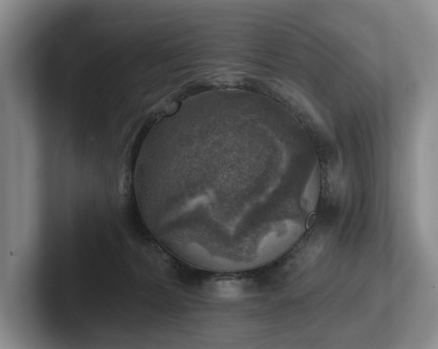 X0000102500228200808081355