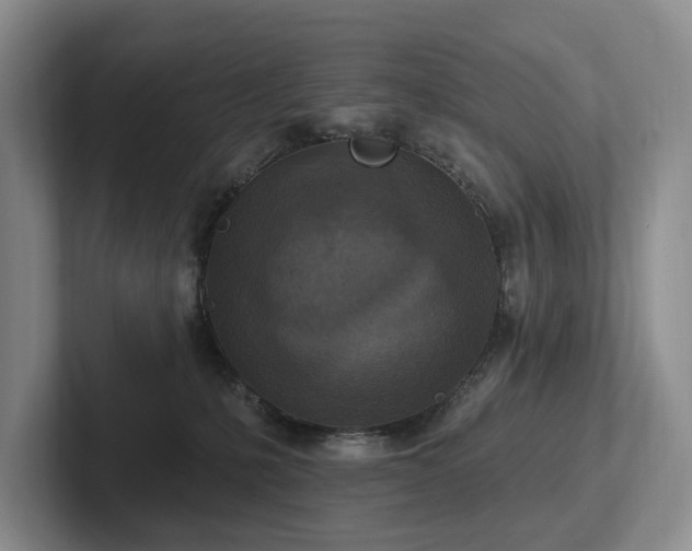 X0000102500231200808081355