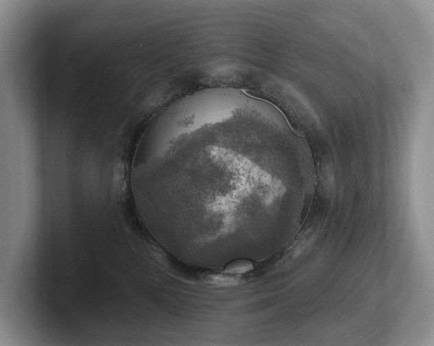 X0000102500232200808081355