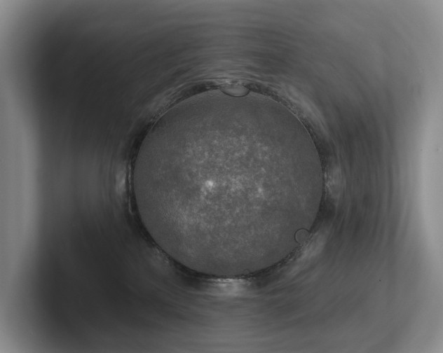 X0000102500233200808081355