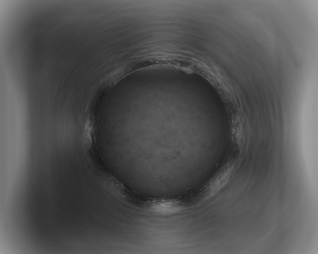 X0000102500235200808081355