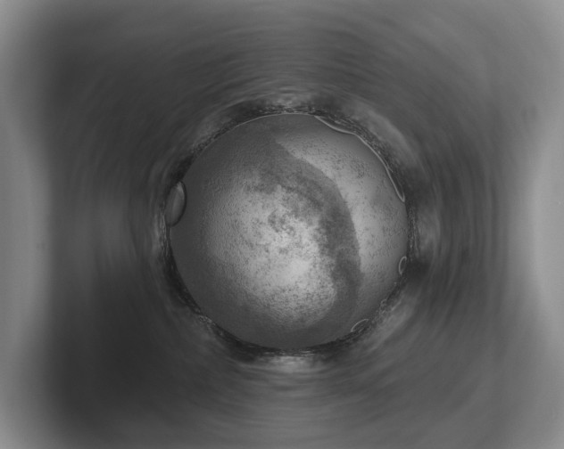 X0000102500236200808081355