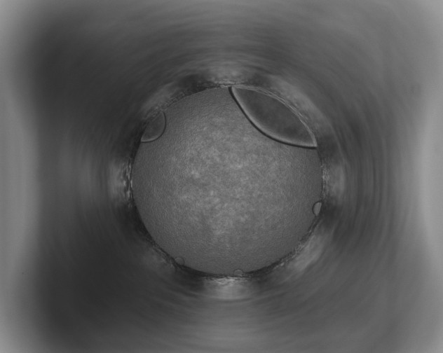 X0000102500237200808081355