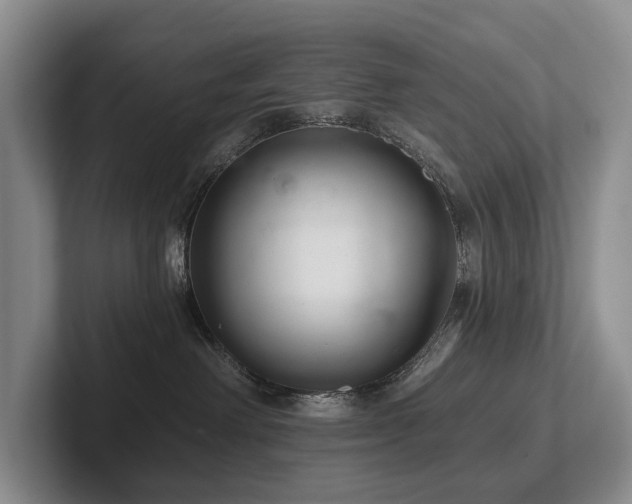 X0000102500238200808081355