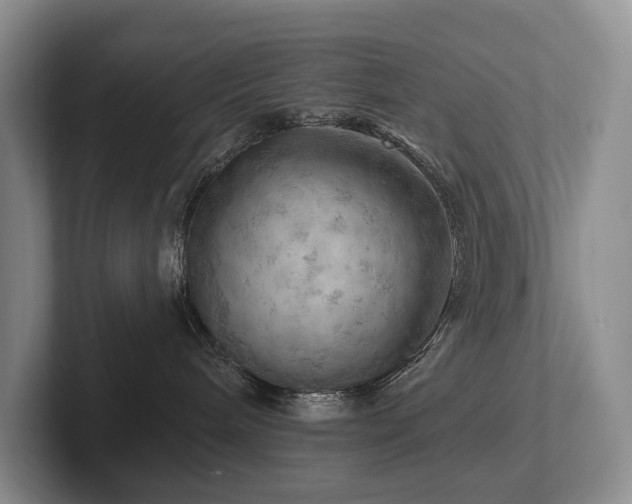 X0000102500240200808081355